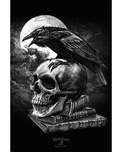 Poe's Raven Poster