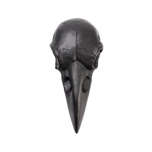 Raven Skull Mirror
