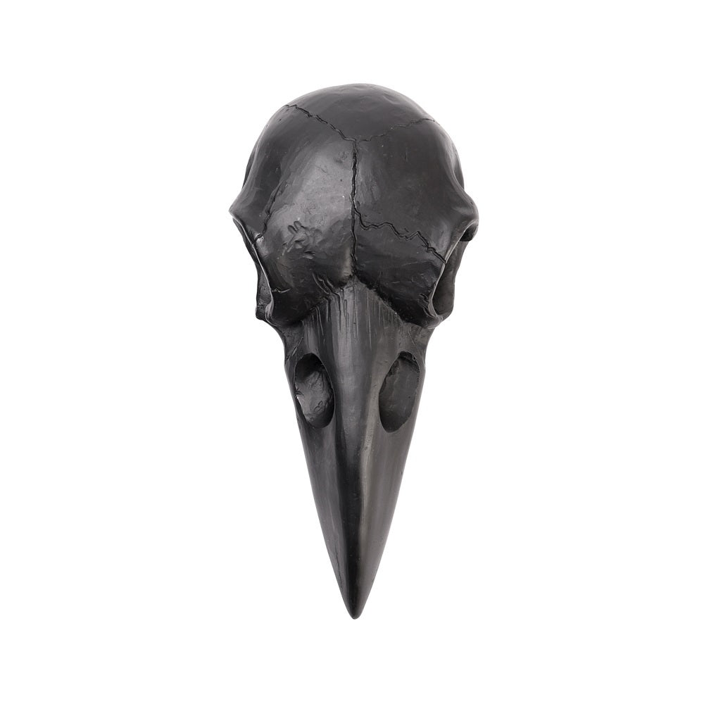 Raven Skull Mirror